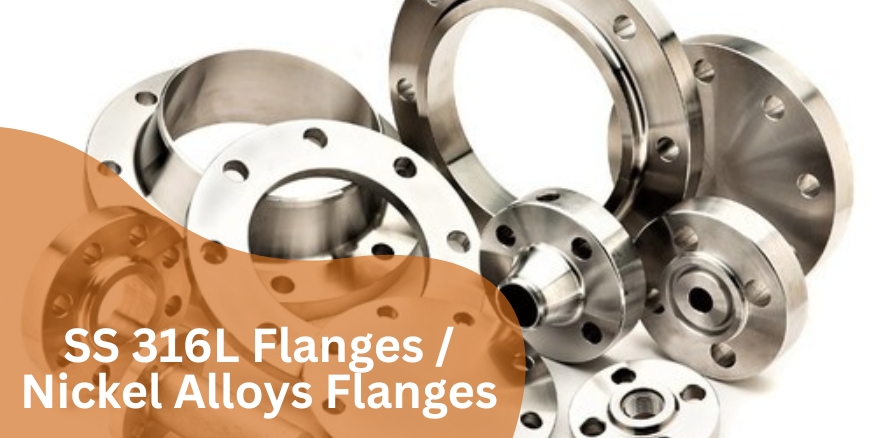 SS 316L Flanges